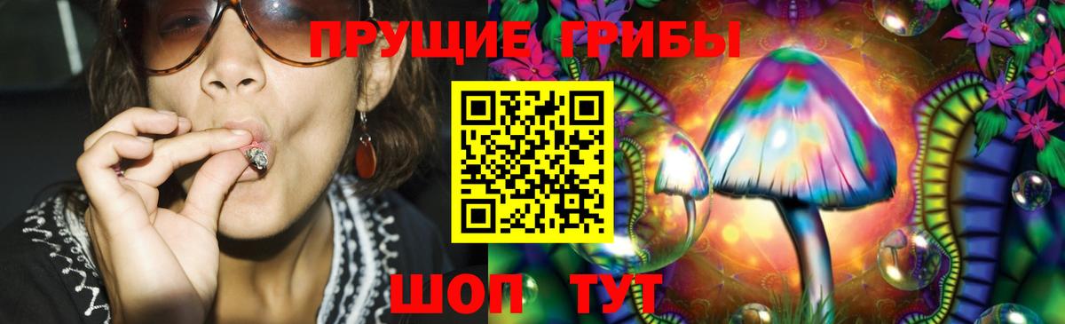 Псилоцибиновые грибы ЛСД Морозовск